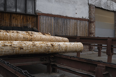 一堆原木躺在森林平台上 一个锯木厂 在锯木厂加工木材植物林业材料日志砍伐木头颗粒生态记录硬木图片