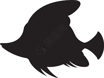 热带鱼剪影海洋生物黑与白游泳图片