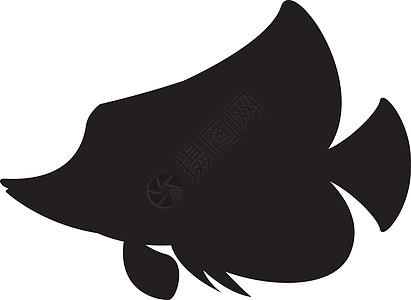 热带鱼剪影海洋生物黑与白游泳图片