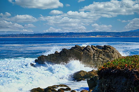 太平洋草原的咆哮冲浪图片