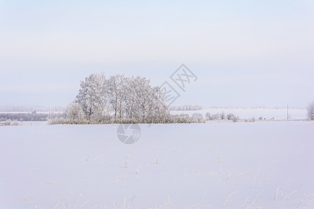 冬季大自然的美丽爬坡树林雪堆旅游植物群公园草地木头植物天气图片