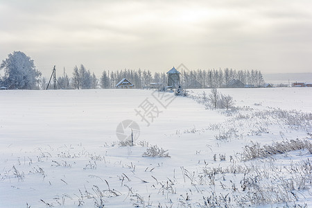 冬季大自然的美丽村庄季节栅栏植物群环境房子针叶公园木头雪堆图片