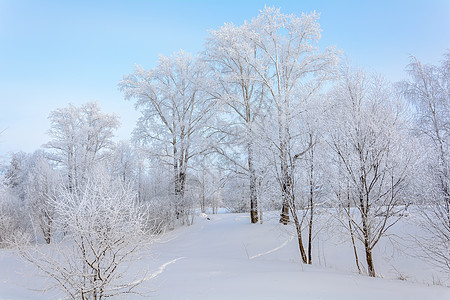 冬季大自然的美丽场景雪堆晴天场地天空木头森林旅行植物群爬坡图片
