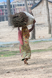 印度东北部高地贫困线以下 BPL 的妇女背着木头从国家森林里走出来做饭 木柴或木炭燃料在印度农村广泛用于烹饪赤脚旅行日落部落危机图片