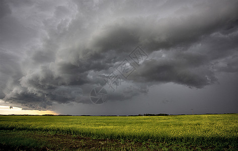 加拿大帕蕊雷风暴云天气雷雨戏剧性气候农村平原极端危险天空图片