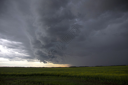 加拿大帕蕊雷风暴云危险天空平原农村雷雨天气戏剧性极端气候图片
