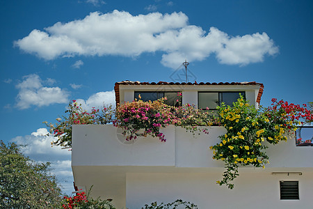 粉刷屋的Veranda花朵图片