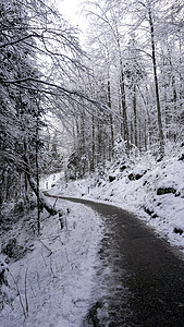 徒步前往哈斯塔特旧盐矿的老山路途旅行 通过松林和冬季雪山风雪地貌 在奥地利户外冒险图片