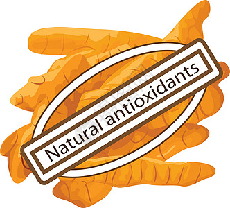 天然抗氧化剂姜黄香料白色排毒草本植物食物草本芳香插图赞成草药美食图片