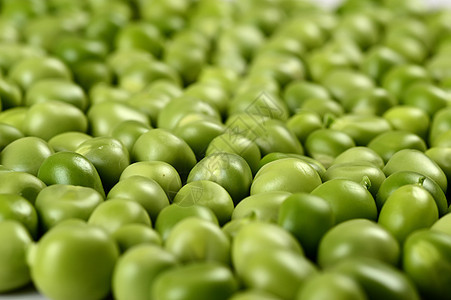 白色背景的新鲜绿色青豆植物养分农业豆类营养饮食粮食产品种子收获图片