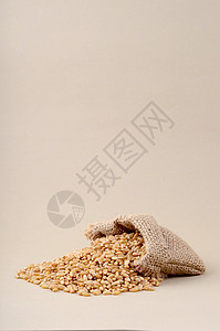 以小袋子里的小麦在背景 特写种子植物面包面粉团体解雇季节燕麦玉米麻布图片