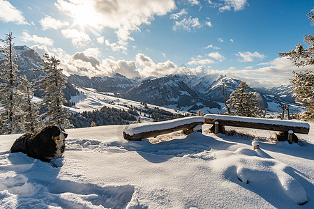 从Eggli餐馆到Fortseeli和Diepodsauer海绵的极好的冬季旅行 到瑞士的Fhnerenspitz顶峰高山太阳首图片