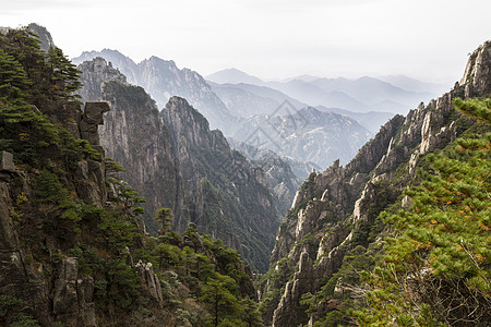 秋季中国黄山的黄山背景图片