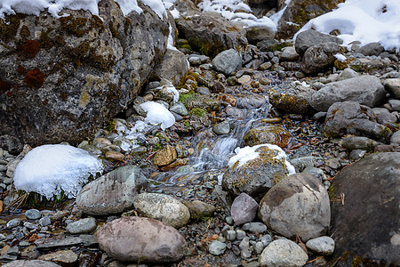 一条小溪流在冰薄的岩石中流淌美丽运动绿色溪流白色石头流动公园森林瀑布图片
