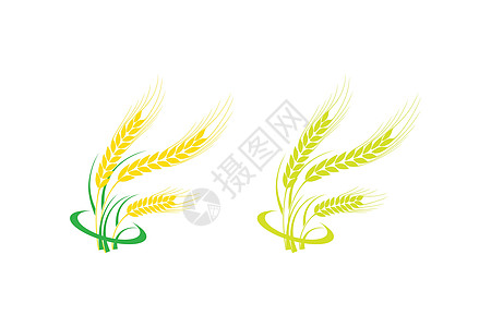 农业小麦标志模板矢量图标设计食物耳朵粮食收成农场种子玉米场地谷物插图图片