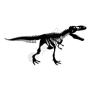 恐龙骨架霸王龙图标黑色科洛捕食者牙齿怪物博物馆荒野动物警告危险爬虫暴龙图片