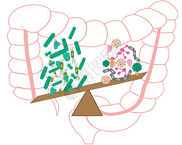肠道菌群 好细菌和坏细菌图片