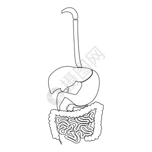 消化系统图标黑色科洛药品食管食道腹部胰腺解剖学医疗运河学习男性图片