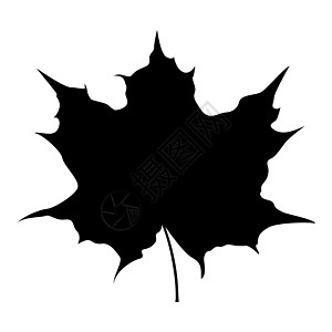 枫叶剪影图标黑色它制作图案图片