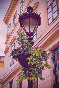 装有美丽的挂花盆的奥兰特街灯笼图片