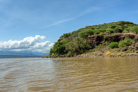 埃塞俄比亚查莫湖地貌 非洲鳄鱼栖息地动物群淡水沼泽活动荒野支撑钓鱼米奇图片