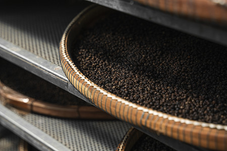 黑胡椒粒在干燥室或黑胡椒种植园的芦苇板上干燥 黑胡椒粒的干燥 农业 香料图片