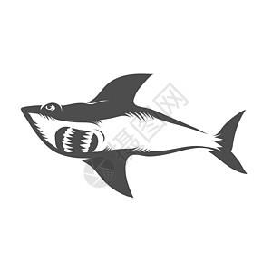 在白色背景隔绝的鲨鱼 鱼无缝模式钓鱼生活眼睛荒野淡水海浪捕食者野生动物美食尾巴图片