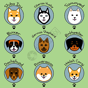 绿色背景上可爱卡通风格的九种狗图片