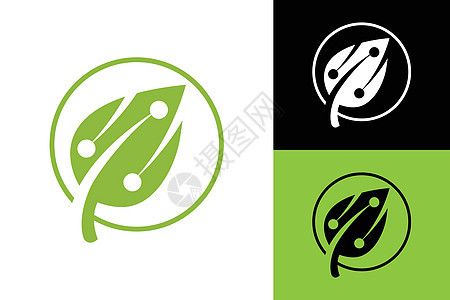 绿色技术标志设计概念叶技术标志设计营销生物环境叶子数据互联网标识商业生活科学图片