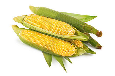 新鲜玉米蔬菜棒子绿色粮食树叶农业食物黄色白色营养耳朵图片