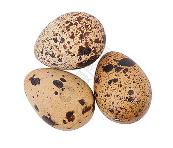 分离的蛋食物鹌鹑动物团体脆弱性早餐水平宏观棕色小吃图片