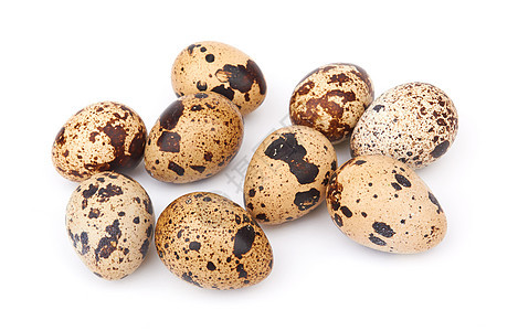 分离的蛋早餐食物框架宏观棕色动物美食脆弱性小吃水平图片