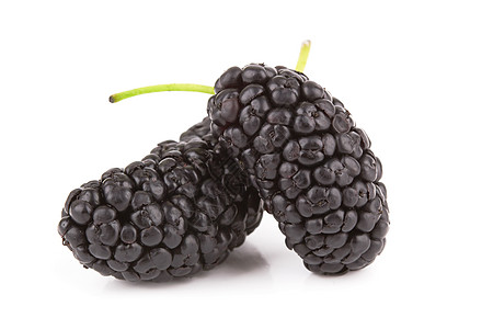 木浆果水果黑色工作室白色宏观甜点紫色食物养分图片