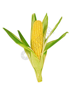 玉米爆米花玉米芯叶子黄色生产白色农场蔬菜绿色粮食图片