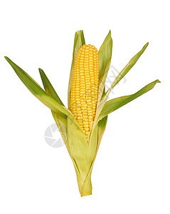玉米食物生产黄色爆米花农场叶子金子内核白色营养图片