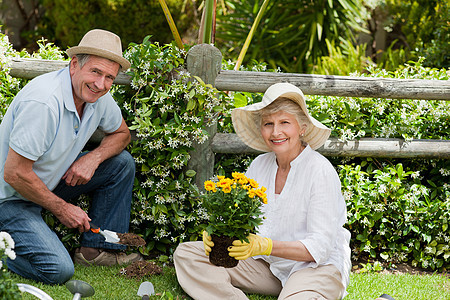 在花园里工作的双性夫妻老年相机祖父女士女性退休妻子男性养老金家具图片