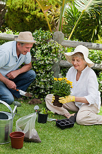 在花园里工作的双性夫妻养老金伴侣男性女士祖父友谊祖父母丈夫头发退休图片