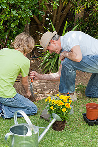 祖父和孙子孙子在花园工作微笑植物土地孩子卷曲园艺培育帮助男性花园图片