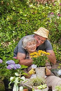 在花园工作年长的夫妇女性友谊祖父母退休夫妻丈夫家具祖父花园伴侣图片