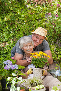 在花园工作年长的夫妇妻子座位女性男性祖父母丈夫友谊伴侣养老金男人图片