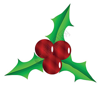 圣诞节霍利叶绘画庆典季节性绿色艺术叶子艺术品浆果树叶图片