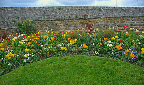 草坪和石墙后面各种开花的植物院子园林公园绿化绿色园艺花坛石头植物群草地图片