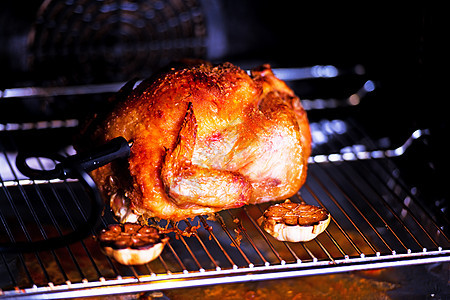 烤鸡和大蒜翅膀乡村皮肤托盘家禽食物探测烤箱油炸美食图片