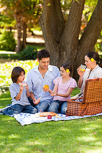 可爱的家庭在公园野餐父亲母亲女孩草地享受男生午餐童年农村食物图片