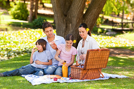 可爱的家庭在公园野餐午餐自由父亲母亲儿子女孩草地食物农村女士图片