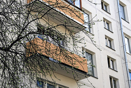 春天树枝背景下普通城市房屋立面的碎片 从下面看图片