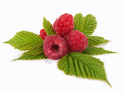 树莓草莓覆盆子白色食物绿色果味养分饮食花园红色叶子图片
