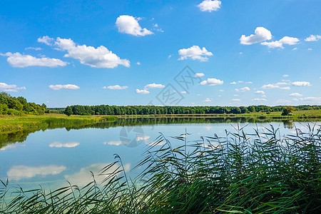 在阳光明媚的白天 可以看到小湖或河流环境天空树木林地旅游反射蓝天世界木头太阳图片