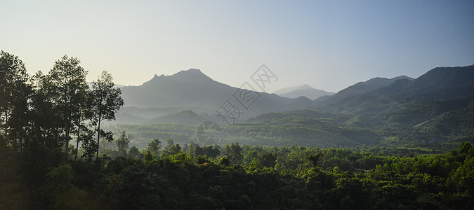 清晨越南雾中山林的景象旅游旅行山脉风景环境全景爬坡荒野薄雾公园图片