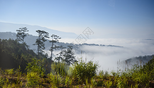 清晨越南雾中山林的景象爬坡薄雾天气自然天空日出国家岩石旅游森林图片